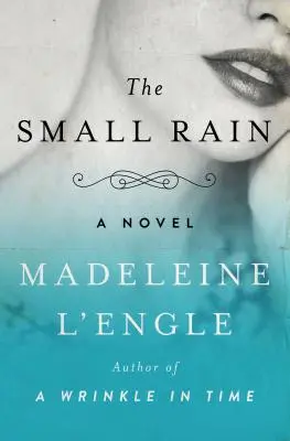 Malý dážď - The Small Rain