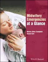 Porodné asistencie v skratke - Midwifery Emergencies at a Glance