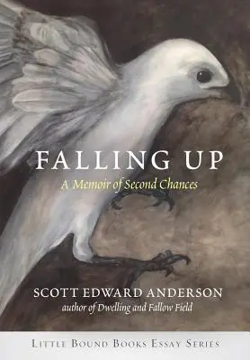 Padanie nahor: Spomienky na druhú šancu - Falling Up: A Memoir of Second Chances