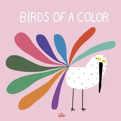Vtáky jednej farby - Birds of a Color