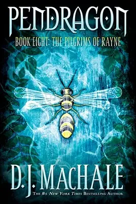 Pútnici z Rayne, 8 - The Pilgrims of Rayne, 8