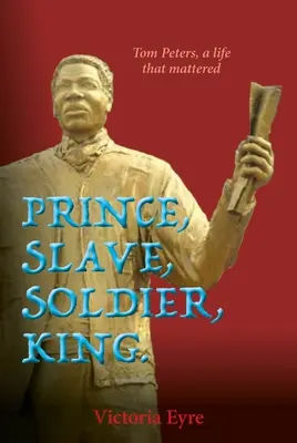 Princ otrok vojak kráľ - Prince Slave Soldier King