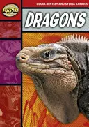Rýchle čítanie: (2. etapa, úroveň 2B) - Rapid Reading: Dragons (Stage 2, Level 2B)