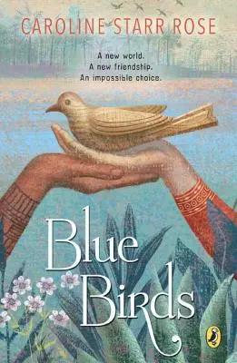 Modrí vtáci - Blue Birds