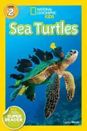 Morské korytnačky - Sea Turtles