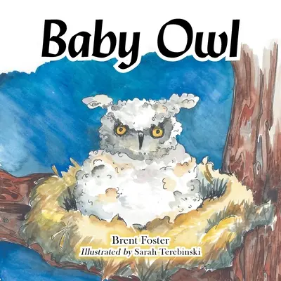 Sova mláďatko - Baby Owl