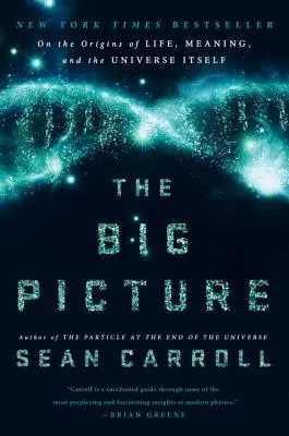 Veľký obraz: O pôvode života, zmyslu a samotného vesmíru - The Big Picture: On the Origins of Life, Meaning, and the Universe Itself