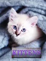 Mačiatka - Kittens