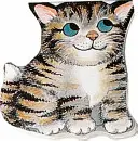 Vreckové mačiatko - Pocket Kitten