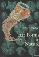 Umelecké formy v prírode: Vychádzky z prírody: Odtlačky Ernsta Haeckela - Art Forms in Nature: The Prints of Ernst Haeckel