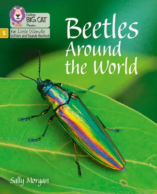Chrobáci okolo sveta - Fáza 5 - Beetles Around the World - Phase 5