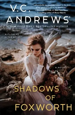 Stíny Foxworthu, 11 - Shadows of Foxworth, 11
