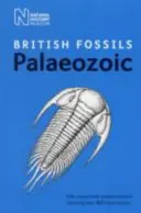 Britské paleozoické skameneliny - British Palaeozoic Fossils