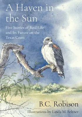Prístav na slnku: Päť príbehov o živote vtákov a ich budúcnosti na pobreží Texasu - A Haven in the Sun: Five Stories of Bird Life and Its Future on the Texas Coast