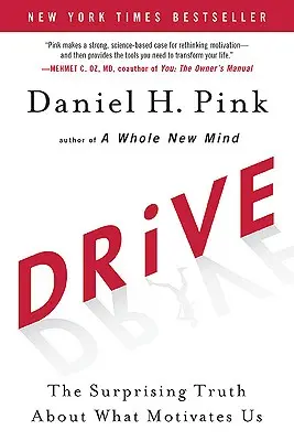 Pohon: Prekvapujúca pravda o tom, čo nás motivuje - Drive: The Surprising Truth about What Motivates Us