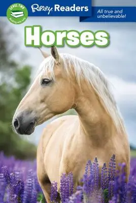 Kone - Horses
