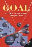 Cieľ: proces neustáleho zlepšovania - The Goal: A Process of Ongoing Improvement