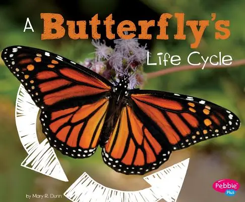 Životný cyklus motýľa - A Butterfly's Life Cycle