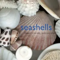 Mušle - Seashells