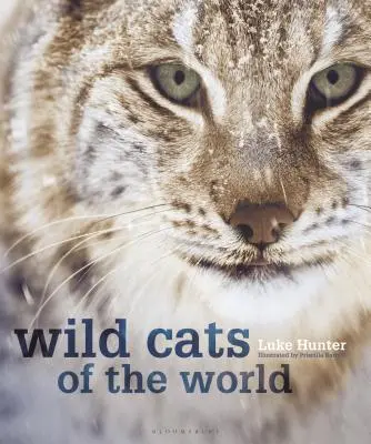 Divoké mačky sveta - Wild Cats of the World