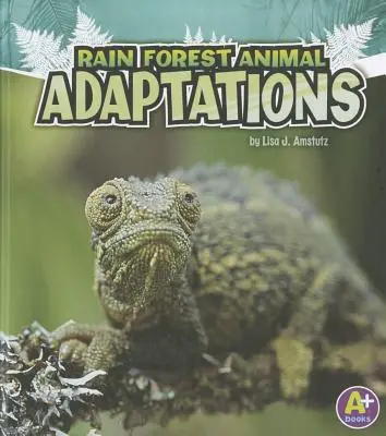 Pralesné adaptácie zvierat - Rain Forest Animal Adaptations