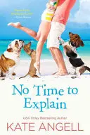 Nie je čas na vysvetľovanie - No Time to Explain