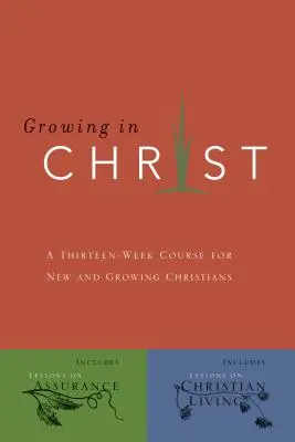 Rastieme v Kristovi: 13-týždňový kurz pre nových a rastúcich kresťanov - Growing in Christ: A 13-Week Course for New and Growing Christians