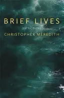 Krátke životy - Brief Lives