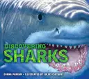 Objavovanie žralokov - Discovering Sharks