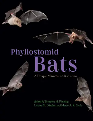 Fyllostomidné netopiere: jedinečné žiarenie cicavcov - Phyllostomid Bats: A Unique Mammalian Radiation