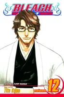 Bleach, zv. 12, 12 - Bleach, Vol. 12, 12