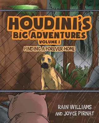 Houdiniho veľké dobrodružstvá: Hľadanie večného domova - Houdini's Big Adventures: Finding a Forever Home
