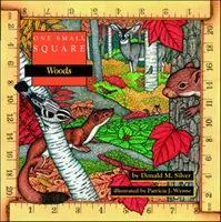 Jeden malý štvorček: Woods - One Small Square: Woods