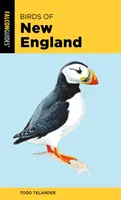 Vtáky Nového Anglicka - Birds of New England