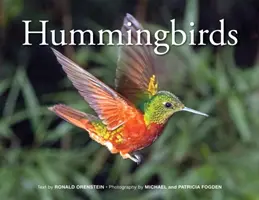 Kolibríky - Hummingbirds
