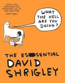 Čo to sakra robíte? The Essential David Shrigley - What The Hell Are You Doing?: The Essential David Shrigley
