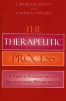 Terapeutický proces: Klinický úvod do psychodynamickej psychoterapie - The Therapeutic Process: A Clinical Introduction to Psychodynamic Psychotherapy