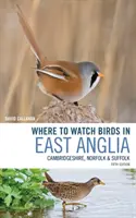 Kde sledovať vtáky vo východnom Anglicku: Cambridgeshire, Norfolk a Suffolk - Where to Watch Birds in East Anglia: Cambridgeshire, Norfolk and Suffolk