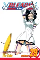 Bleach, zv. 29, 29 - Bleach, Vol. 29, 29