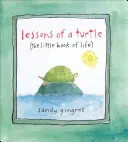 Lekcie korytnačky: (Malá kniha života) - Lessons of a Turtle: (The Little Book of Life)