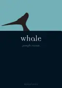 Veľryba - Whale