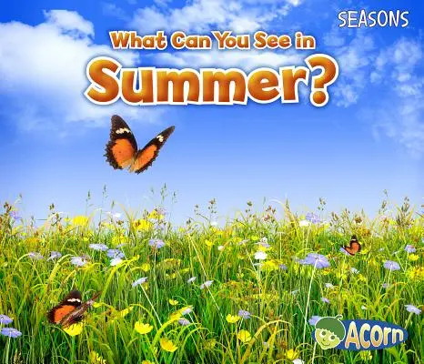 Čo môžete vidieť v lete? - What Can You See in Summer?