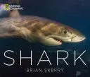 Žraloky - Shark