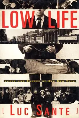 Nízky život: Vábenie a nástrahy starého New Yorku - Low Life: Lures and Snares of Old New York