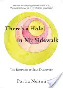 V mojom chodníku je diera: Román o sebapoznávaní - There's a Hole in My Sidewalk: The Romance of Self-Discovery