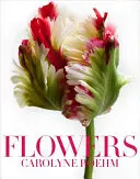 Kvety - Flowers