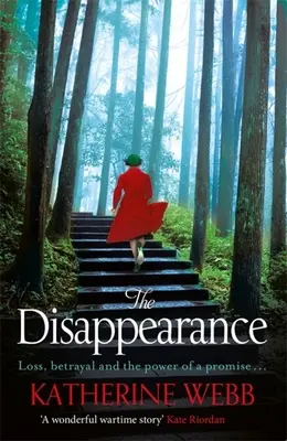 Zmiznutie - The Disappearance