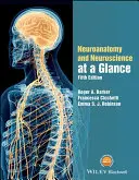 Neuroanatómia a neuroveda v skratke - Neuroanatomy and Neuroscience at a Glance