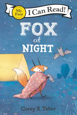 Líška v noci - Fox at Night