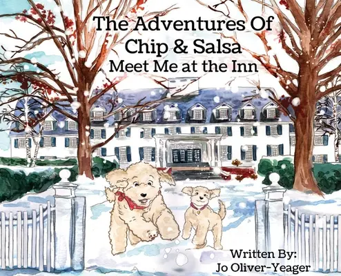 Dobrodružstvá Chipa a Salsy: Stretneme sa v hostinci - The Adventures of Chip and Salsa: Meet Me at the Inn